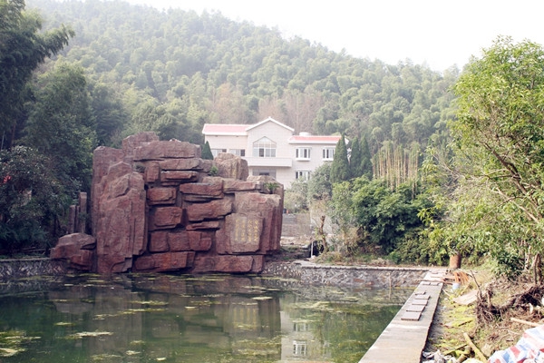 糖果派对游戏官网 - 首页